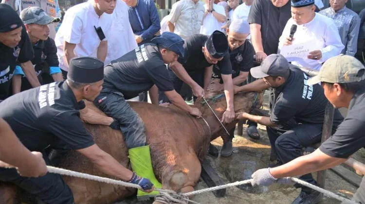 Bolehkah Perempuan Menyembelih Ayam atau Hewan Sembelihan Lainnya?