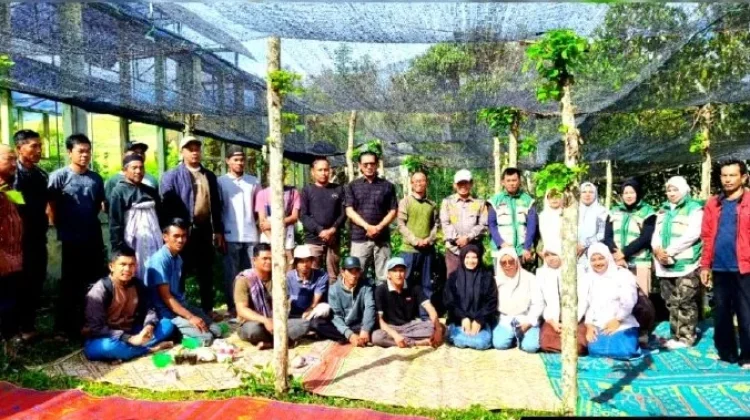 Peluang ekspor Asia, Pemkab Gayo Lues Mulai Kembangkan Kawasan Durian