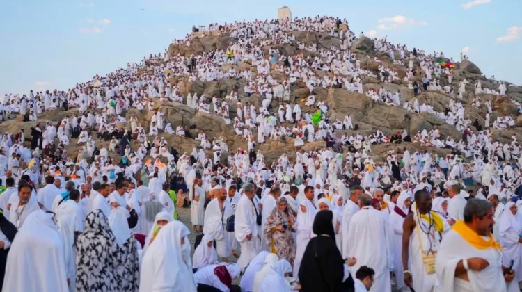 Safari Wukuf Fasilitasi 276 Jemaah Lansia dan Disabilitas pada Puncak Haji 2026