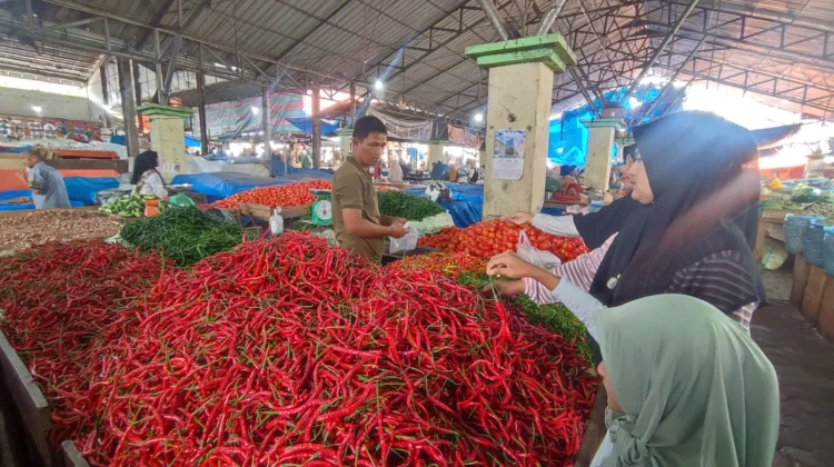Harga Kebutuhan Pokok di Takengon: Daging dan Cabai Naik, Udang dan Beras Turun