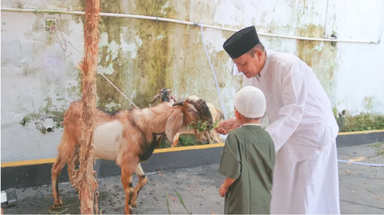 Semangat Iduladha 1447 H: Menebar Keikhlasan dan Kepedulian Melalui Ibadah Kurban