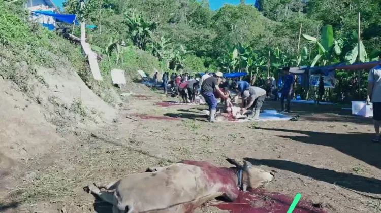 IKADI Aceh Tengah Salurkan 1.130 Paket Daging Kurban hingga Wilayah Linge