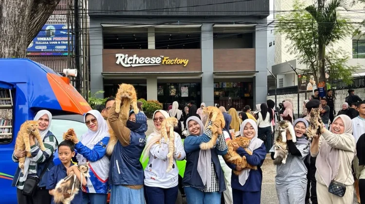 Cat Lovers Banda Aceh Aktif Selamatkan Kucing Terlantar Melalui Aksi Sosial