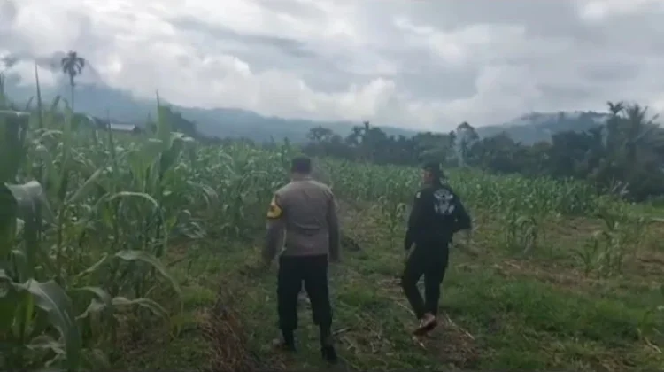 Polsubsektor Gajah Putih Dukung Ketahanan Pangan Melalui Pendataan Lahan Jagung