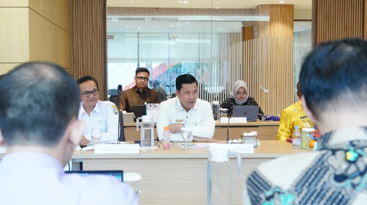 Bupati Haili Usul Penguatan Infrastruktur Kesehatan ke Menkes