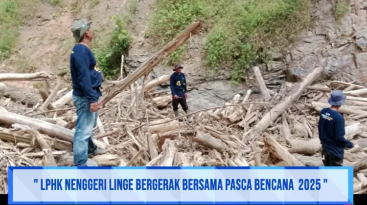 LPHK Negeri Linge Bergerak Pulihkan Hutan dan Sumber Air Pasca Bencana