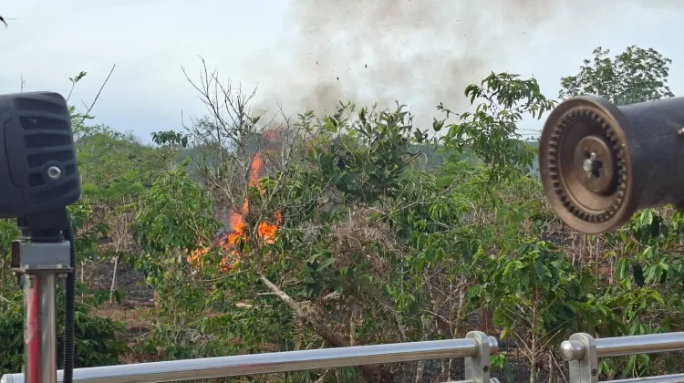 Karhutla Hanguskan Sekitar Satu Hektare Lahan di Atu Lintang