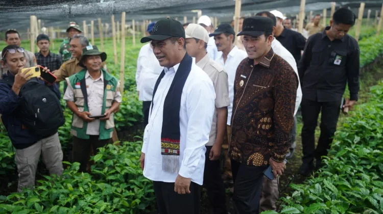 Menteri Pertanian Amran Kunjungi Gayo