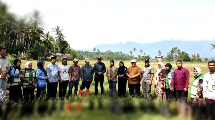 Bupati Gayo Lues Dampingi Kementan Tinjau Program Optimalisasi Lahan