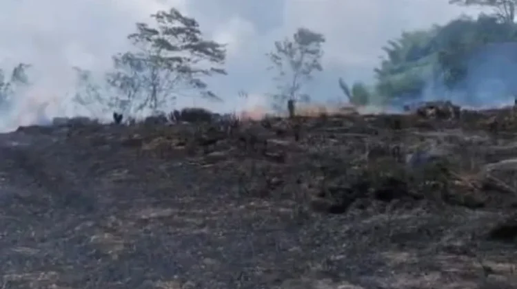 Kebakaran Lahan di Pintu Rime Gayo Berhasil Dipadamkan