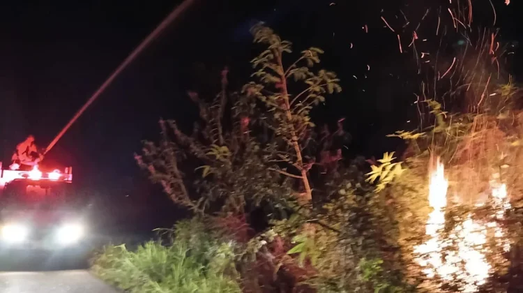 Karhutla Hanguskan Satu Hektare Lahan di Celala