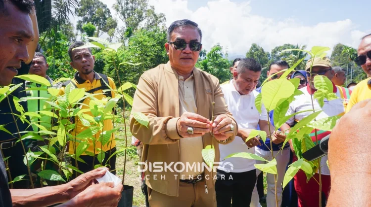Pemkab Aceh Tenggara Kembangkan Kebun Induk Kakao