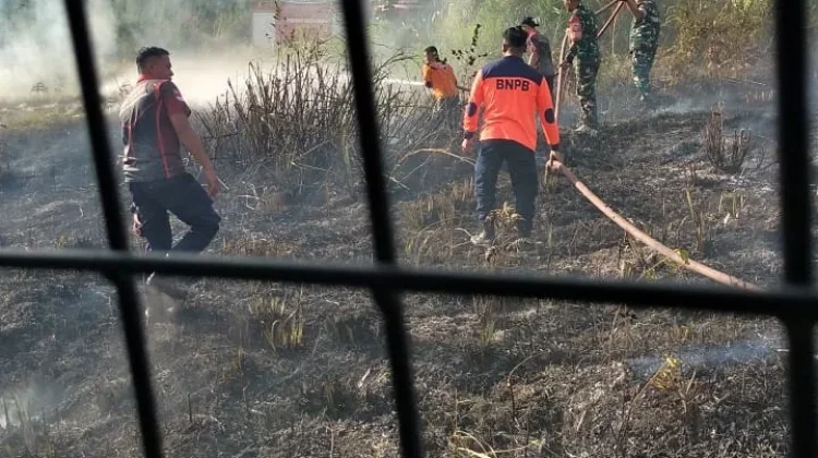 Kebakaran Hanguskan Satu Hektare Lahan di Wih Pesam
