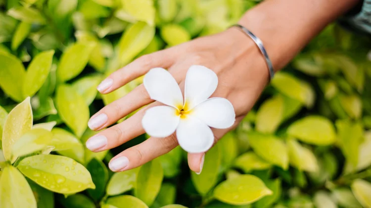 Coconut Milk Nails Hadirkan Gaya Kuku Minimalis Elegan