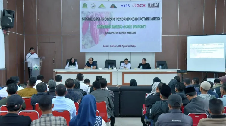 Bener Meriah Fokus Tingkatkan Produktivitas Kakao Melalui Pendampingan Petani