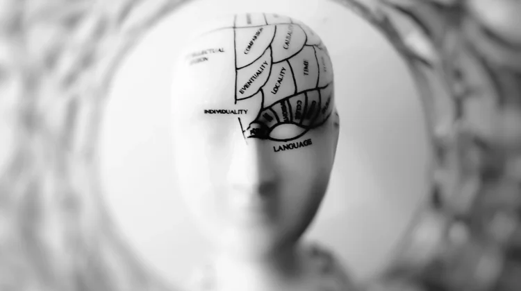 Kecerdasan Praktis, Salah Satu Jenis Kecerdasan yang Lebih Penting daripada IQ
