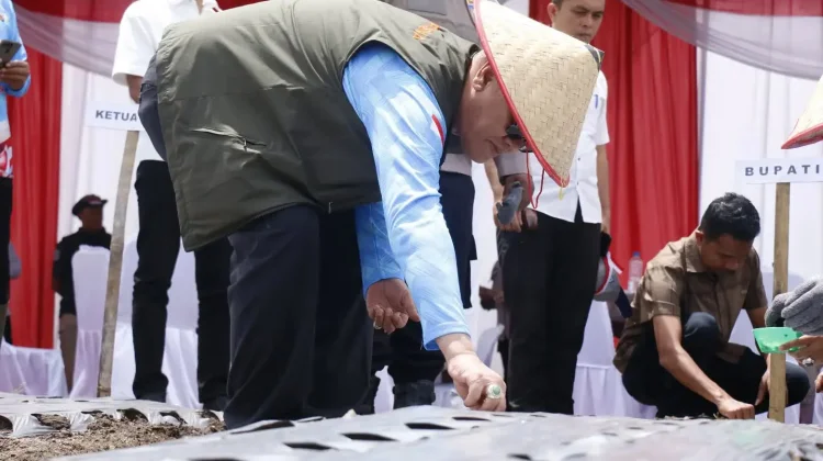 Pemkab Bener Meriah Dukung Percepatan Swasembada Bawang Putih Nasional