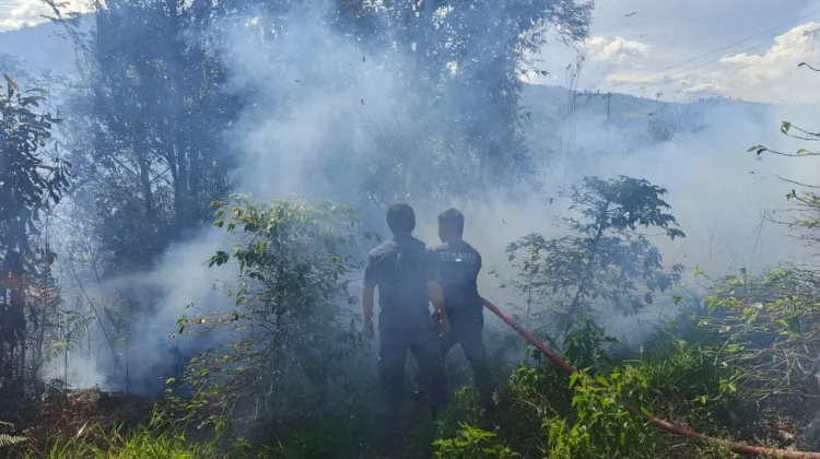 Karhutla Hanguskan Sekitar Satu Hektare Lahan di Atu Lintang