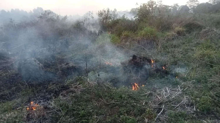 Pemadam Ingatkan Warga Utamakan Keselamatan saat Hadapi Karhutla
