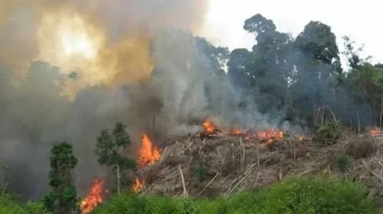 Sebanyak 29 Titik Panas Terdeteksi di Aceh tengah dan Gayo Lues