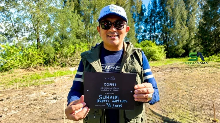 Bupati Gayo Lues Targetkan Pengembangan 20 Ribu Hektare Kopi