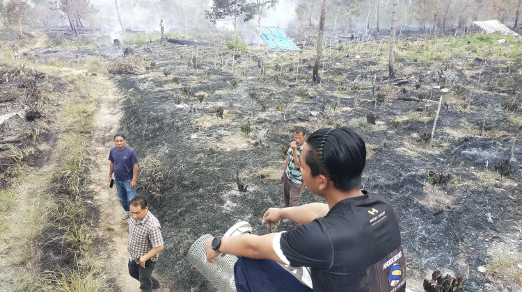 Kebakaran Lahan di Weh Pesam Bener Meriah Hanguskan 20 Hektare Hutan