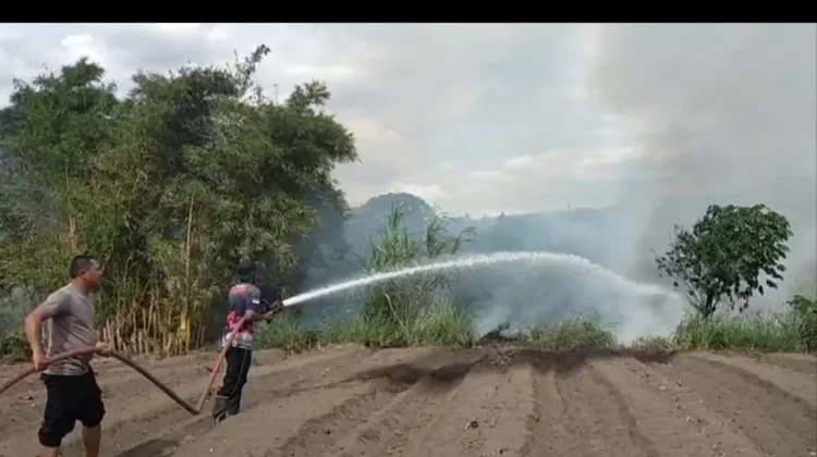Kebakaran Hutan dan Lahan Kembali Terjadi di Aceh Tengah