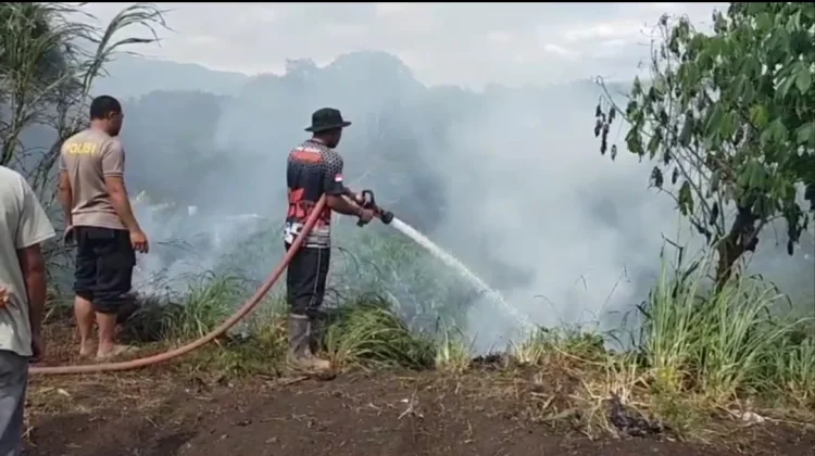Kebakaran Hutan dan Lahan Kembali Terjadi di Aceh Tengah