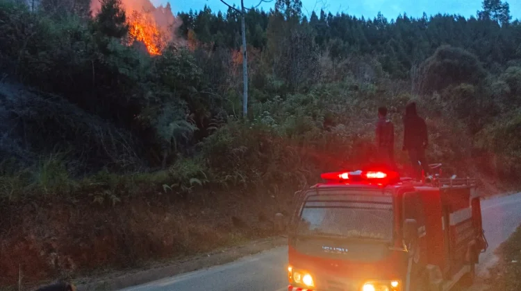 Kebakaran Hutan dan Lahan Kembali Terjadi di Aceh Tengah