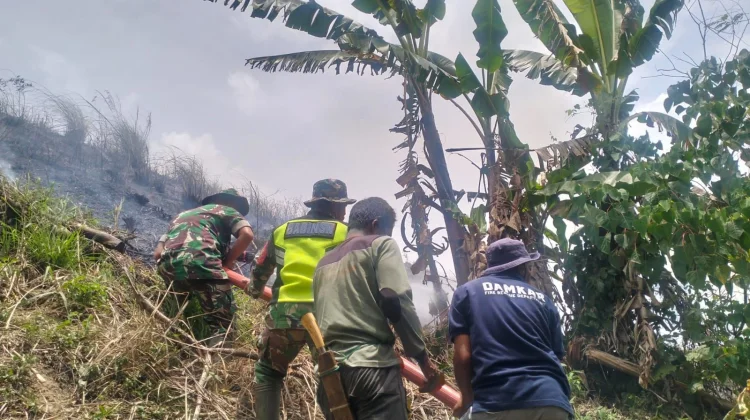 Kebakaran Hutan dan Lahan Kembali Terjadi, Kali ini di Silih Nara