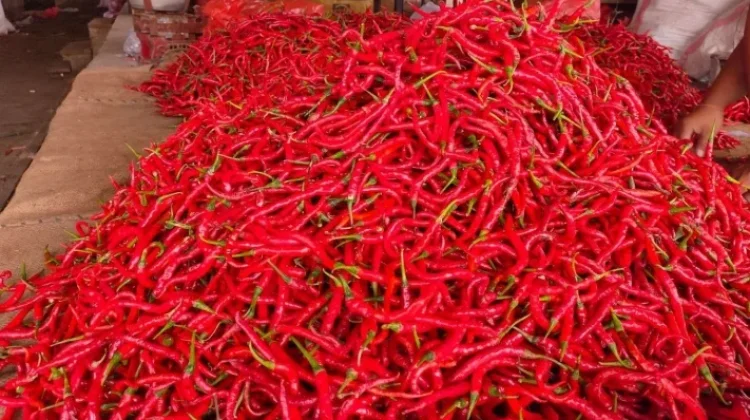 Sejumlah Harga Pangan di Takengon Naik, Ayam dan Cabai Paling Menonjol
