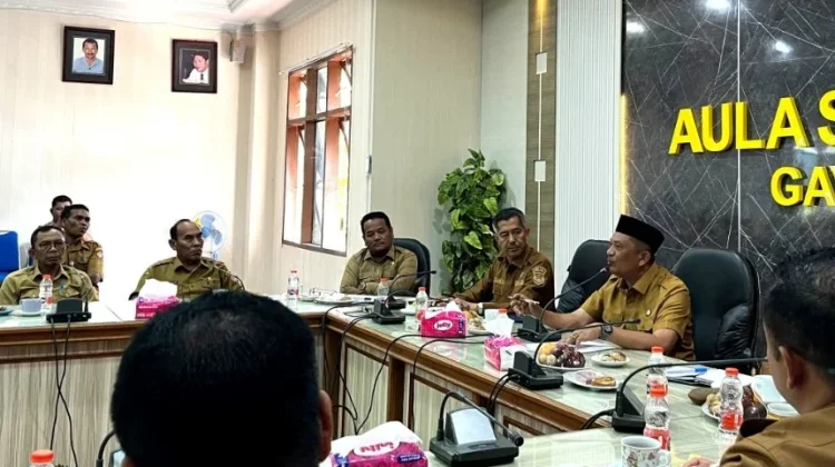 Bibit Kopi Gayo Lues Dibagikan Akhir September