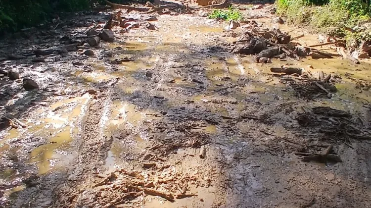 Hujan Deras Picu Longsor dan Banjir Lumpur di Gayo Lues