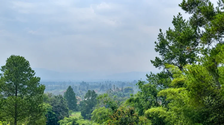 Kabut Asap Selimuti Gayo Lues, Jarak Pandang Turun hingga 300 Meter