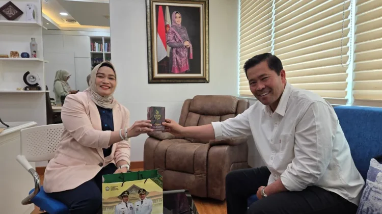 Bupati Haili Dorong Peningkatan Fasilitas Kesehatan Aceh Tengah ke DPR RI