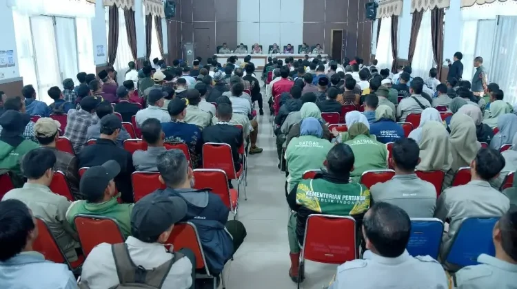 Hilirisasi Perkebunan Bener Meriah Libatkan 16.240 Petani