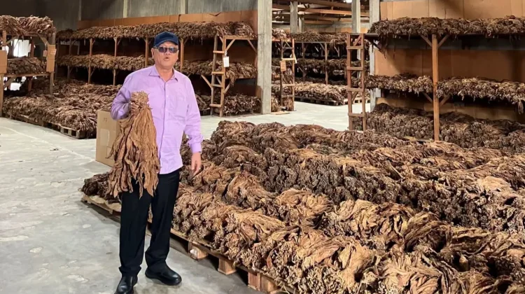 Bener Meriah Jajaki Pengembangan Komoditas Tembakau ke Kabupaten Karo