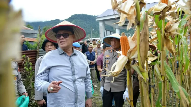 Panen Raya Jagung, Kapolres Bener Meriah: Bulog Siap Menyerap Hasil Produksi