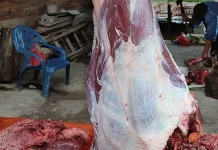 Meugang Pasca Bencana: Tradisi Ramadan yang Tetap Hidup di Aceh Tengah