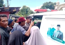 Petani di Bener Meriah Meninggal Dunia Diserang Gajah Liar