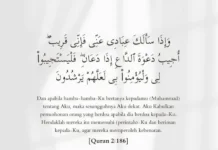 Tafsir QS Al-Baqarah ayat 186 tentang Kedekatan Allah dan Jaminan Pengabulan Do'a