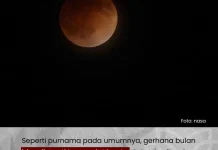 BRIN: Blood Moon 3 Maret Terlihat di Indonesia