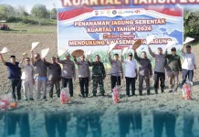 Polda Aceh Tanam  Jagung Serentak