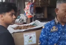 Bupati Haili: Stok Sembako dan BBM Tercukupi