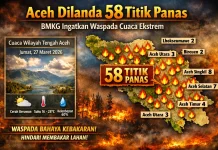 BMKG Deteksi Terdapat 58 Titik Panas Tersebar di Aceh