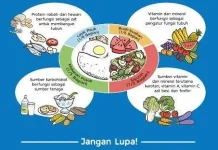 Gizi Seimbang untuk Generasi Gemilang