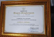 Atu Lintang Terima Penghargaan Lomba Gampong Tingkat Provinsi