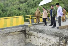 Bupati Haili Tinjau Jembatan Gemboyah