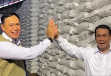 Stok Beras Nasional Sentuh Rekor Tertinggi, BULOG Jamin Pasokan Aman