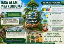Pesisir Sulsel Kritis, Konservasi Mangrove Buka Lapangan Kerja Warga Lokal